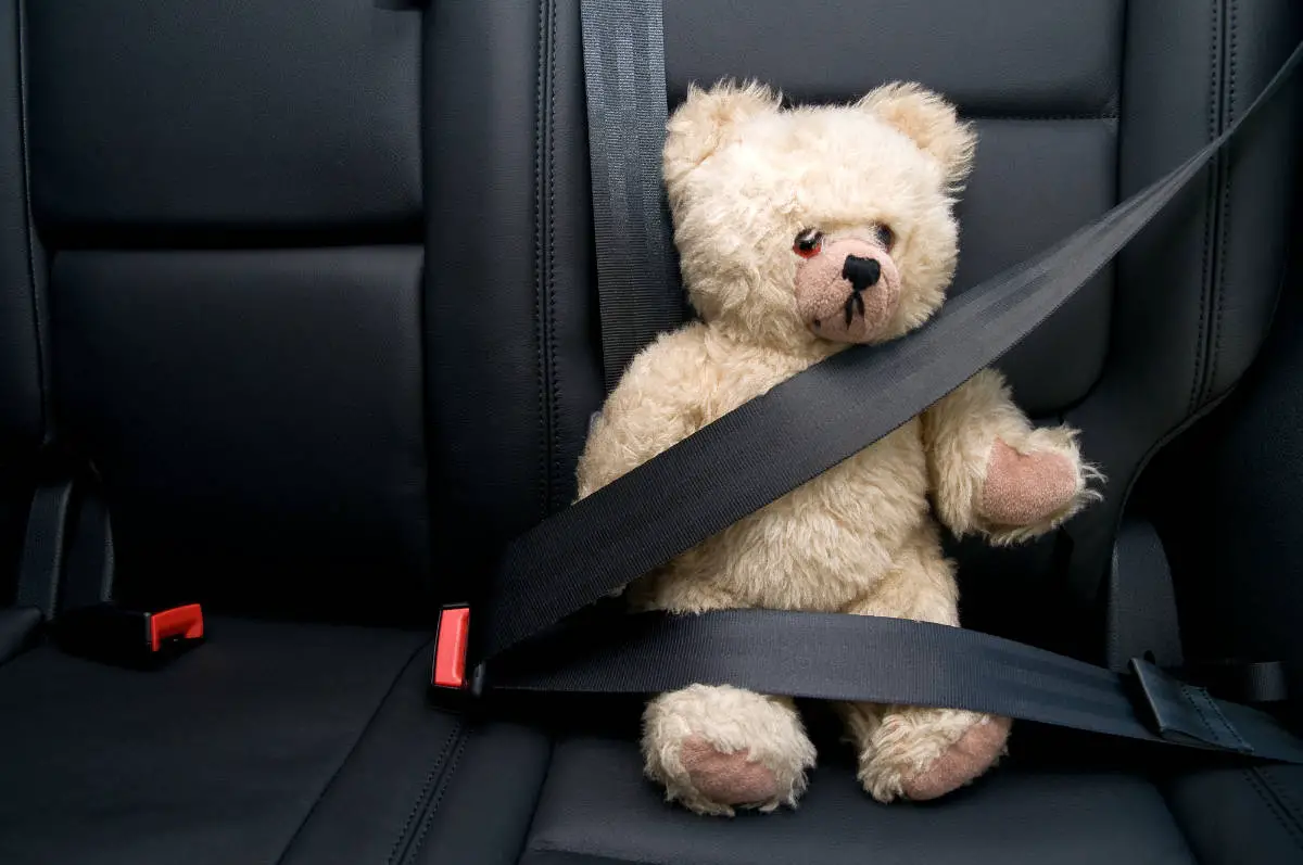 Are Toyota RAV4 Seats Comfortable? The Truth!